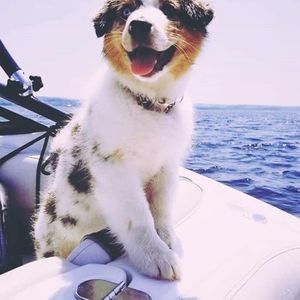 Meet your Posher, Kyla